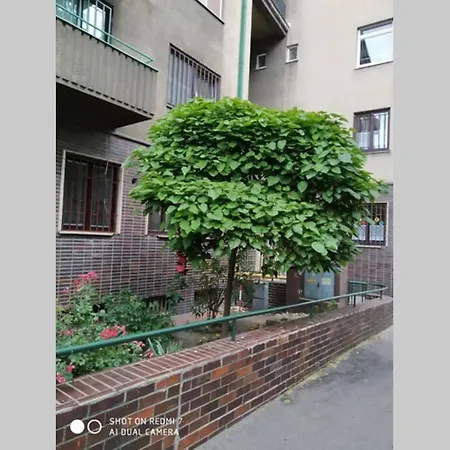 A Cosy In The Centre 公寓