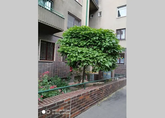 A Cosy In The Centre Apartmán